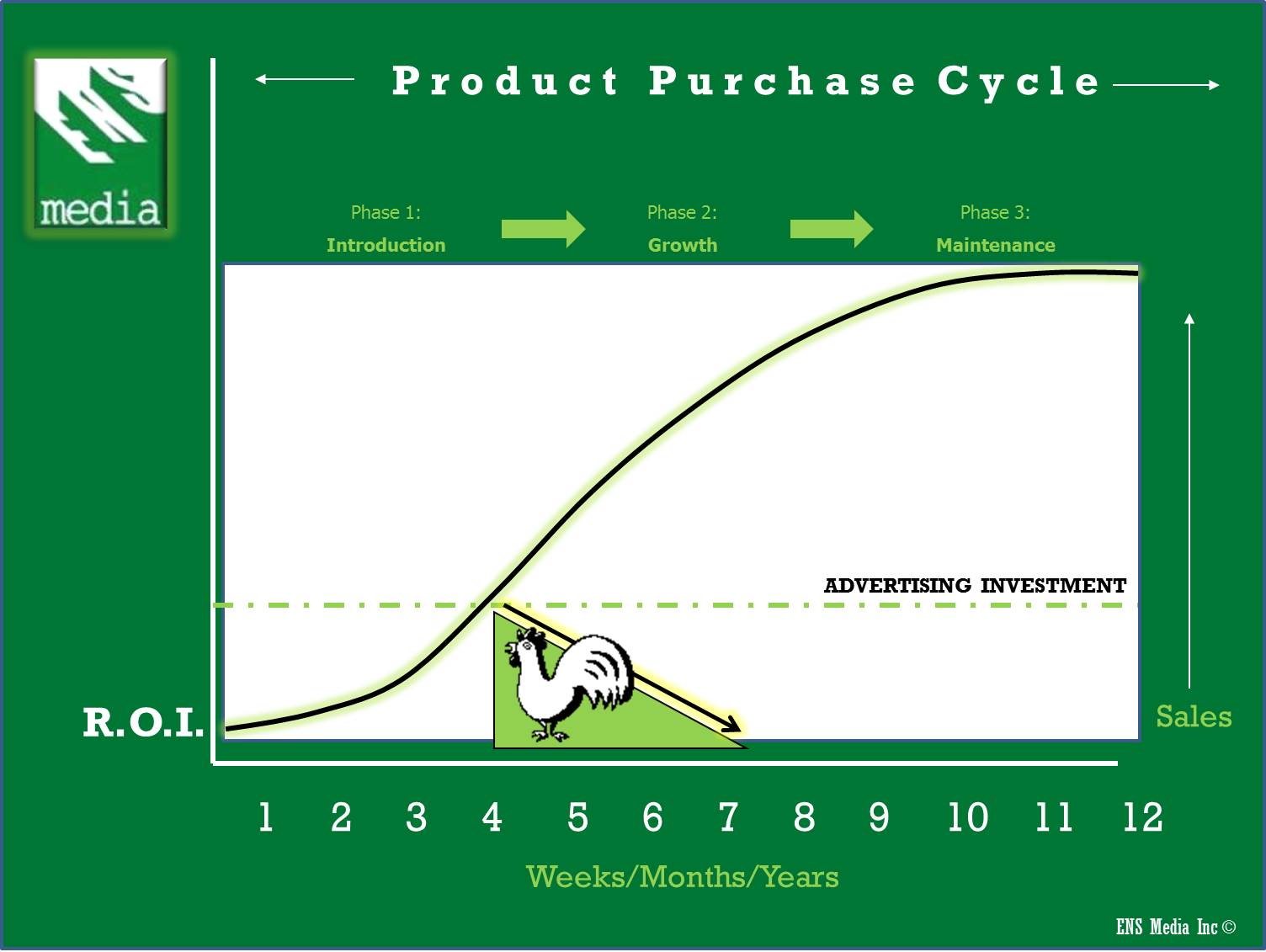 Product Cycle Consultant